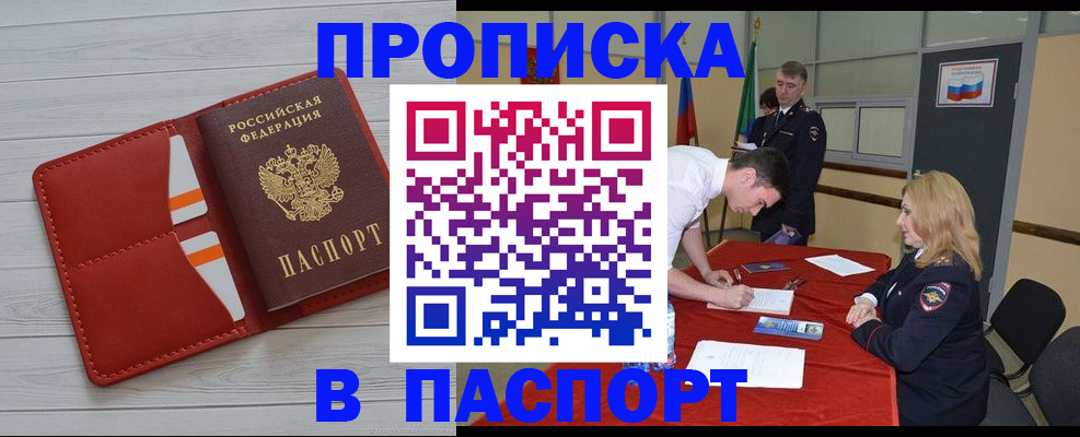 прописка гарантия в Кингисеппе